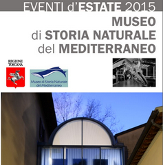 Vetrine aperte per rivivere la Preistoria @ Museo di Storia Naturale | Livorno | Toscana | Italia