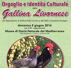 Convegno: Orgoglio e identità Culturale della Gallina Livornese @ Museo di Storia Naturale del Mediterraneo