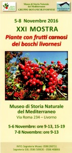 XXI MOSTRA - Piante con frutti carnosi dei boschi livornesi @ Museo di Storia Naturale del Mediterraneo