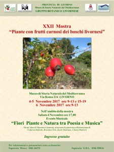XXII Mostra "Piante con frutti carnosi dei boschi livornesi" @ Museo di Storia Naturale del Mediterraneo | Livorno | Toscana | Italia